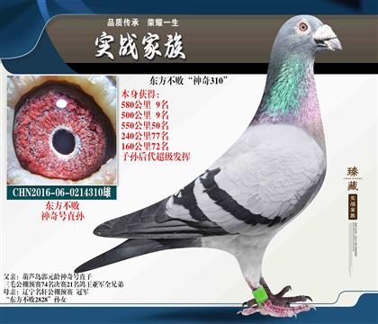 ������l(f��)�]-�(zh��n)��|���������� 9��