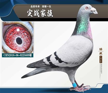 �|����������̖ ����ֱ��