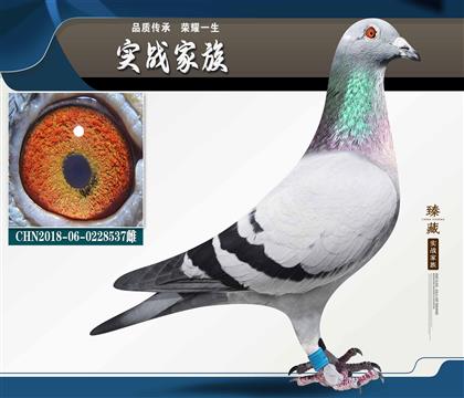 ����.Ӣ��˹ԭ�ᡰ178�����P����6λ