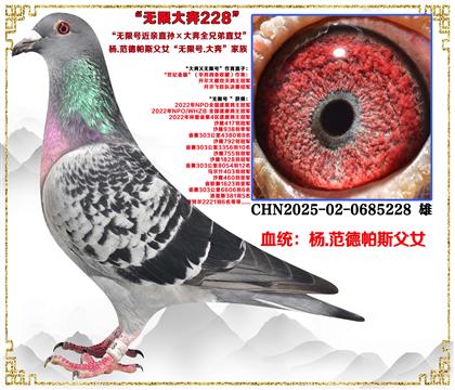 صƼ .˹޺ŽֱȫֱֵŮ