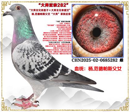 صƣ˹ŮȫֱֵӡȫֱֵŮ