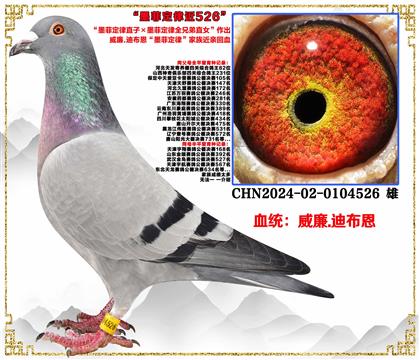 صƼ.ϲīƶֱӡīƶȫֱֵŮ