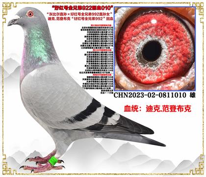 Ͽ.ǲˡұȶֱúȫֵ992ֱŮ