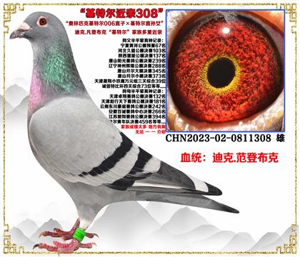 Ͽ.ǲˡض006ֱӡضֱŮѪ