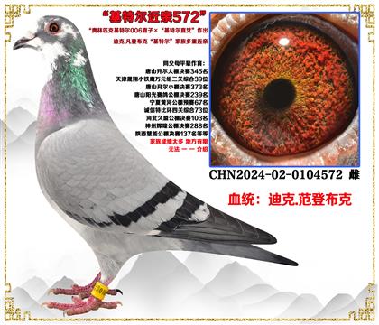 Ͽ.ǲˡƥ˻ض006ֱӡضֱŮ