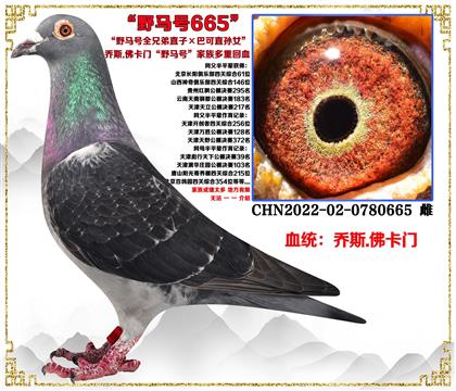 ˹.šҰȫֱֵӡͿֱŮ