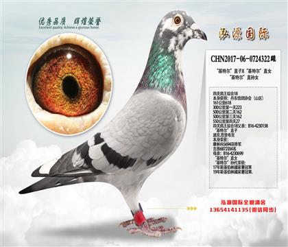 ǧ20ԭƣɽ^(q)P(gun)18