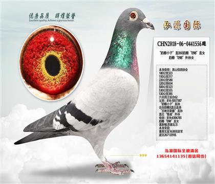 P(gun)62 СӡֱOXҡ098ֱŮ