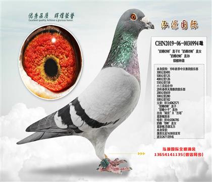 P(gun)19 098ֱX098ֱŮ