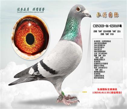 55014 ҡ698ֱOXҡ698ֱŮ