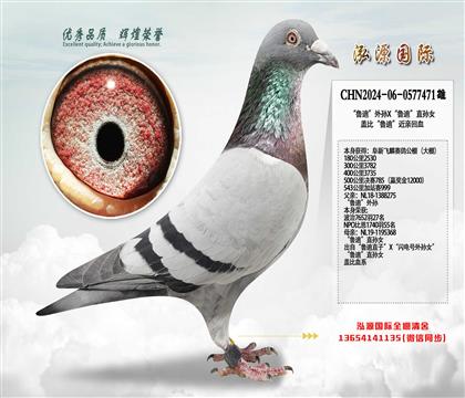 wQِ785  ?sh)ϡOX?sh)ϡֱOŮ