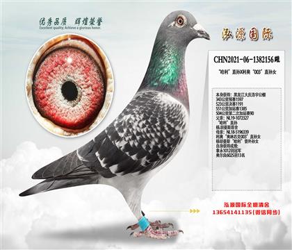 վ90 ֱX¡003ֱŮ