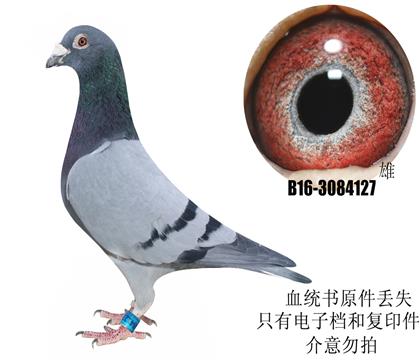 w?sh)ֱ(sh)ϴ}IѪy(tng)ԭGʧ