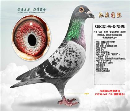 NӴW003ֱOX䌦ֱOŮ