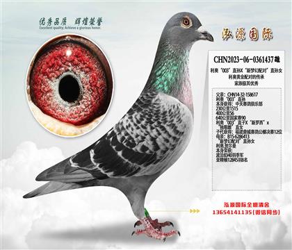 NӴW003ֱOX䌦ֱOŮ