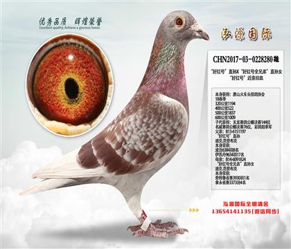 ütֱ̖OXüt̖ȫֵܡֱOŮ