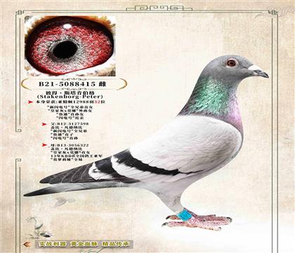 ˵á˹ϲwȡ?sh)όOŮ