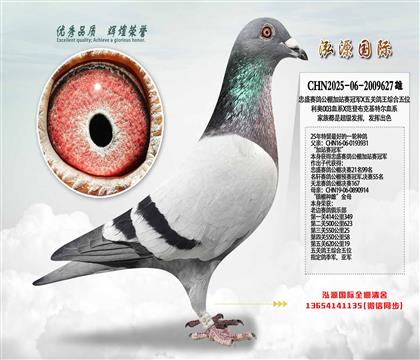 ʢِվِ܊XP(gun)Cλ