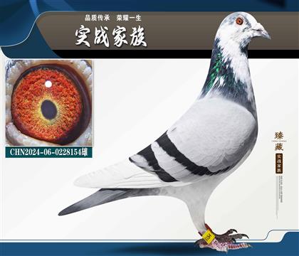 �ϻ�ĸ���H��Ѫ