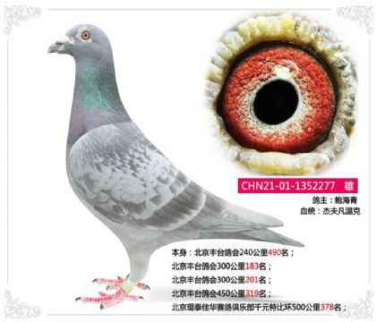 --̩ѻǧԪرȻ500378   	