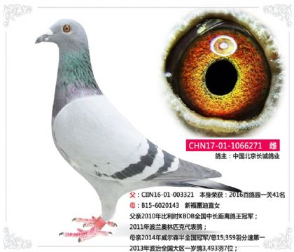 йǸҵ----¸׵ֱŮ271   	