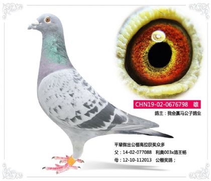 һӮӸҵ----003x 798   	