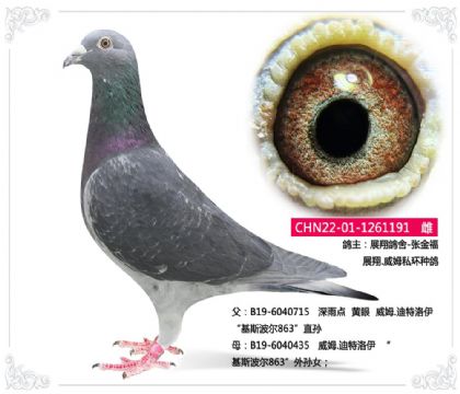 չ-Ž   չ.ķ˽ָ191   