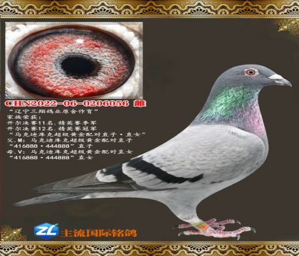 ҵԭ.444888ֱӡ444888ֱŮ