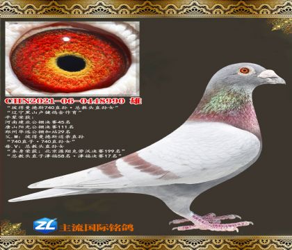 ˵˹740ֱܽͷֱŮ