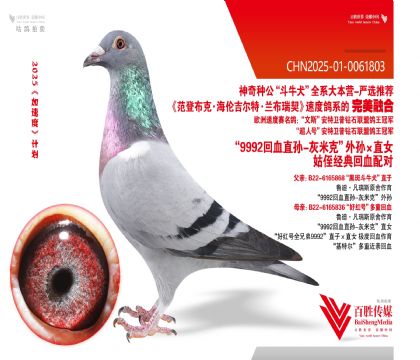 9992ѪֱֶѪ-0061803