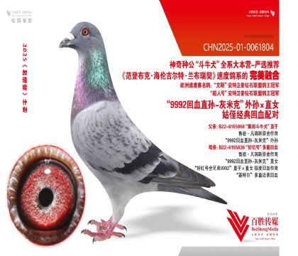 9992ѪֱֶѪ-0061804