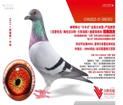 ʯ˹ھ9992-0061812