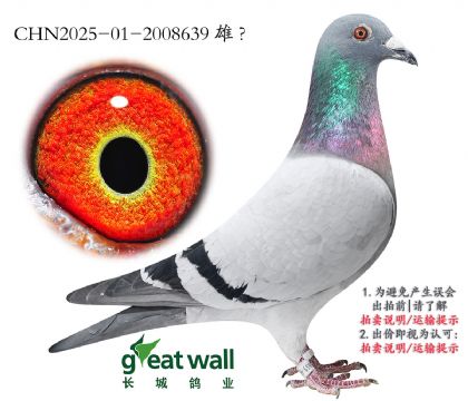 5.ƽxղ˹801.2008639