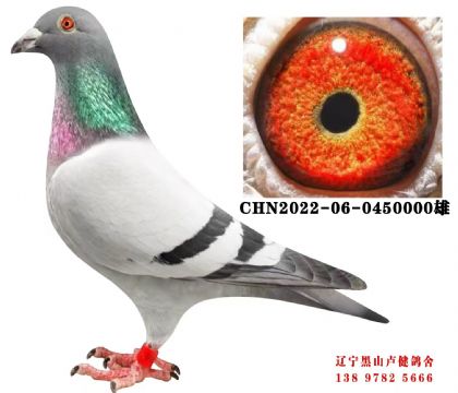 26.总教头直子津福58名X津福10名