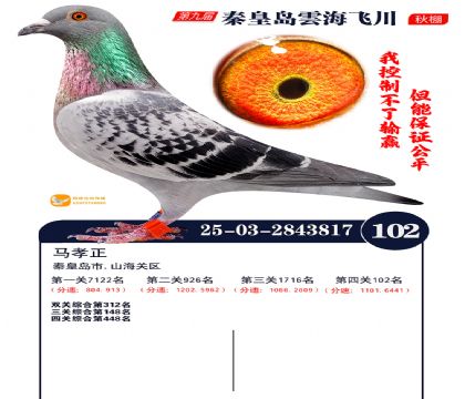 雲海飞川决赛102名