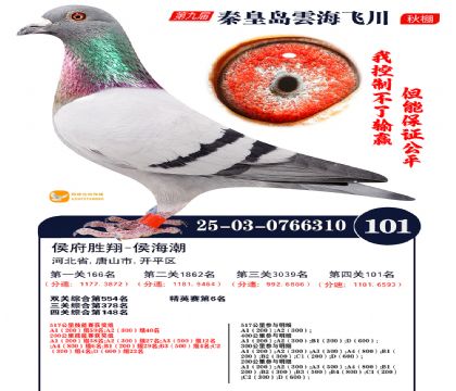 雲海飞川决赛101名