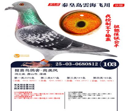 雲海飞川决赛103名