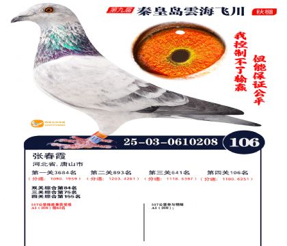 雲海飞川决赛106名