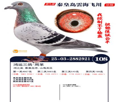 雲海飞川决赛108名