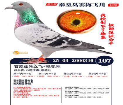 雲海飞川决赛107名