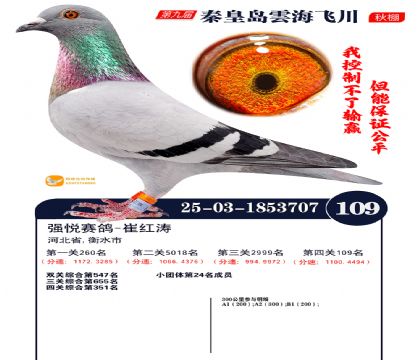 雲海飞川决赛109名