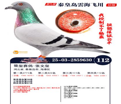 雲海飞川决赛112名