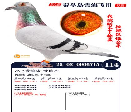 雲海飞川决赛114名