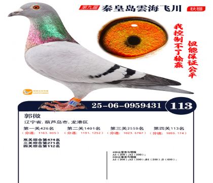 雲海飞川决赛113名