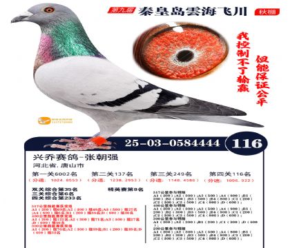 雲海飞川决赛116名