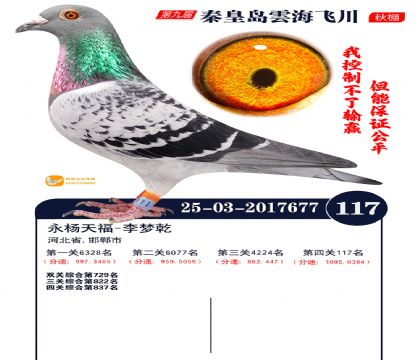 雲海飞川决赛117名