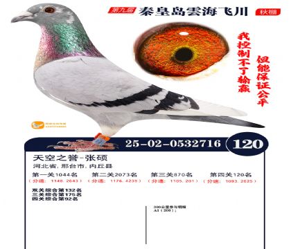 雲海飞川决赛120名