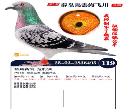 雲海飞川决赛119名