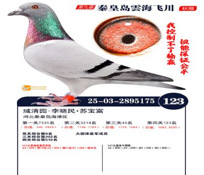 雲海飞川决赛123名