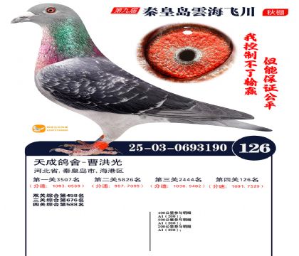 雲海飞川决赛126名